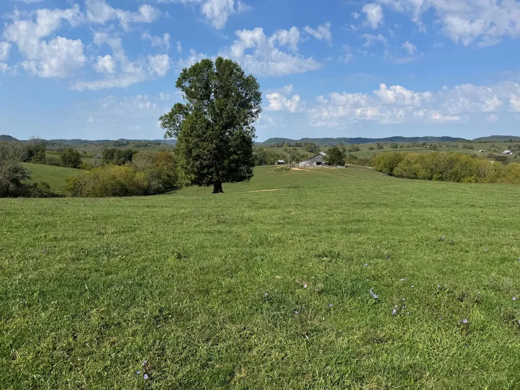 10900 Us Highway 127 Hustonville KY 40437