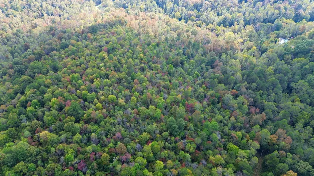 600 James Meece Road Somerset KY 42501