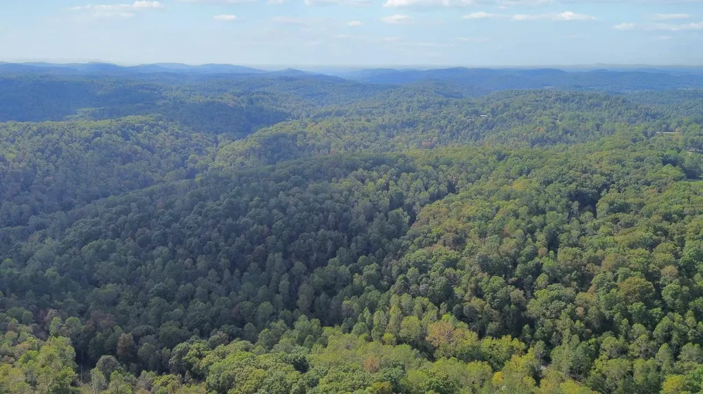 600 James Meece Road Somerset KY 42501