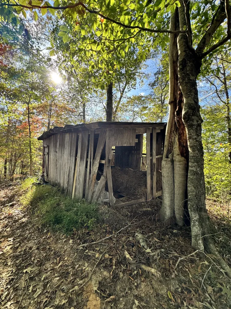 1 Mooretown Hill Road Beattyville KY 41311