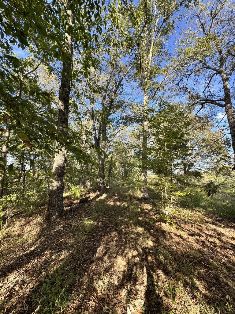 1 Mooretown Hill Road Beattyville KY 41311