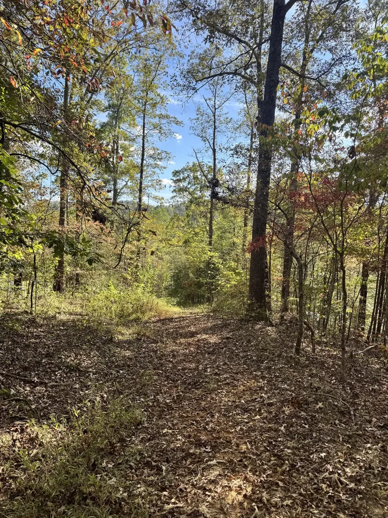 1 Mooretown Hill Road Beattyville KY 41311