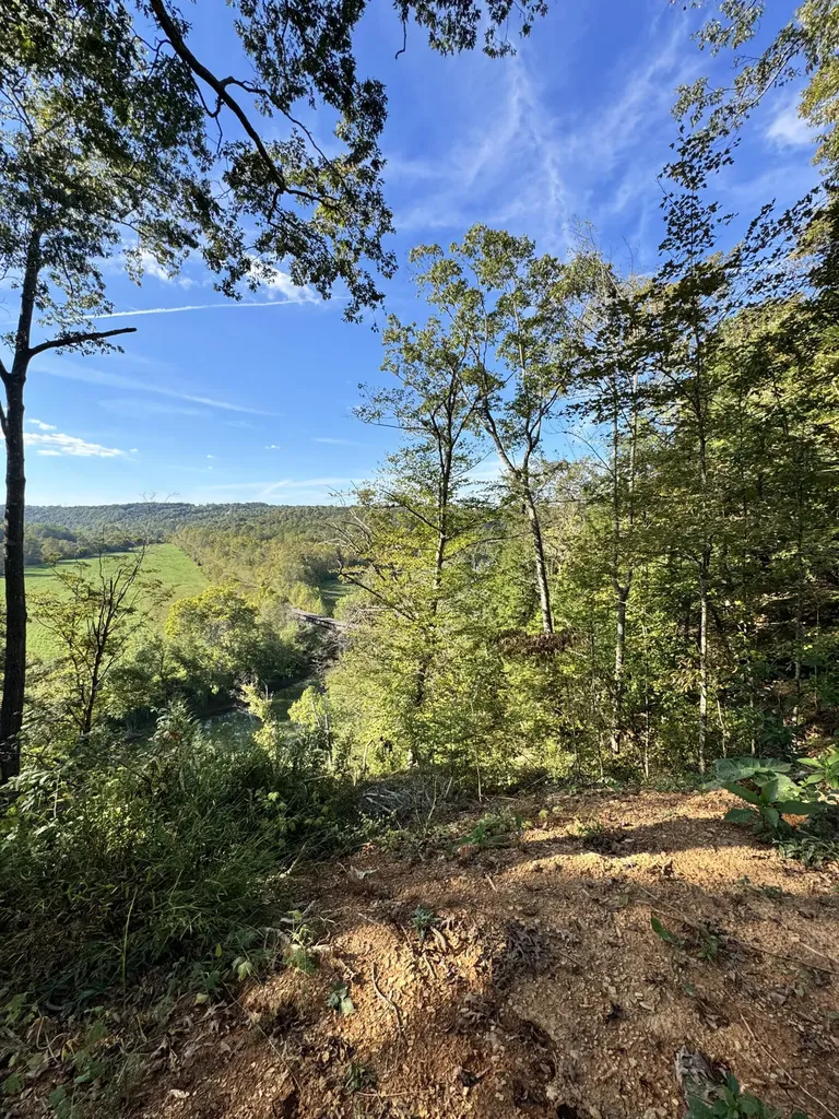 1 Mooretown Hill Road Beattyville KY 41311