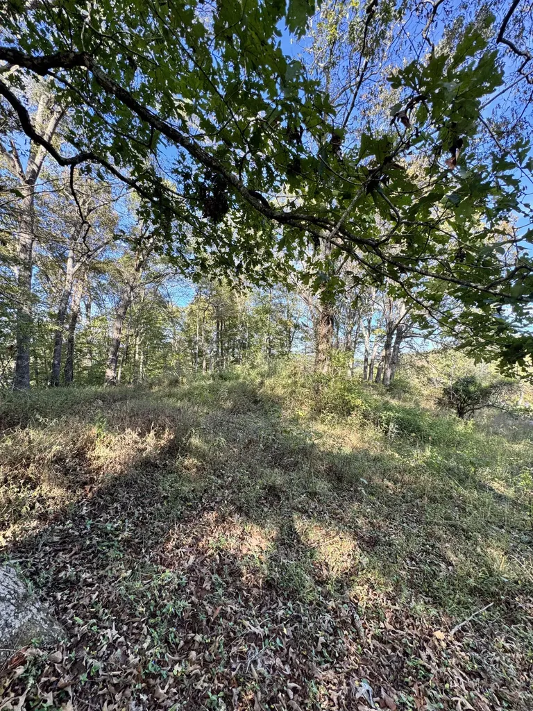 1 Mooretown Hill Road Beattyville KY 41311