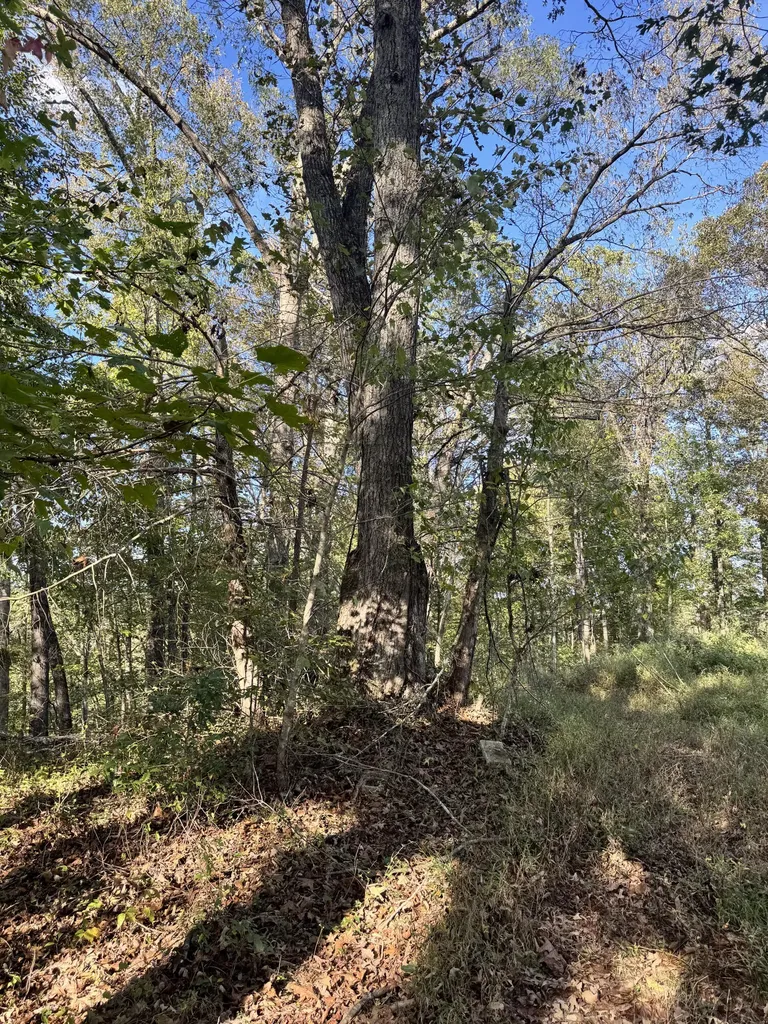 1 Mooretown Hill Road Beattyville KY 41311