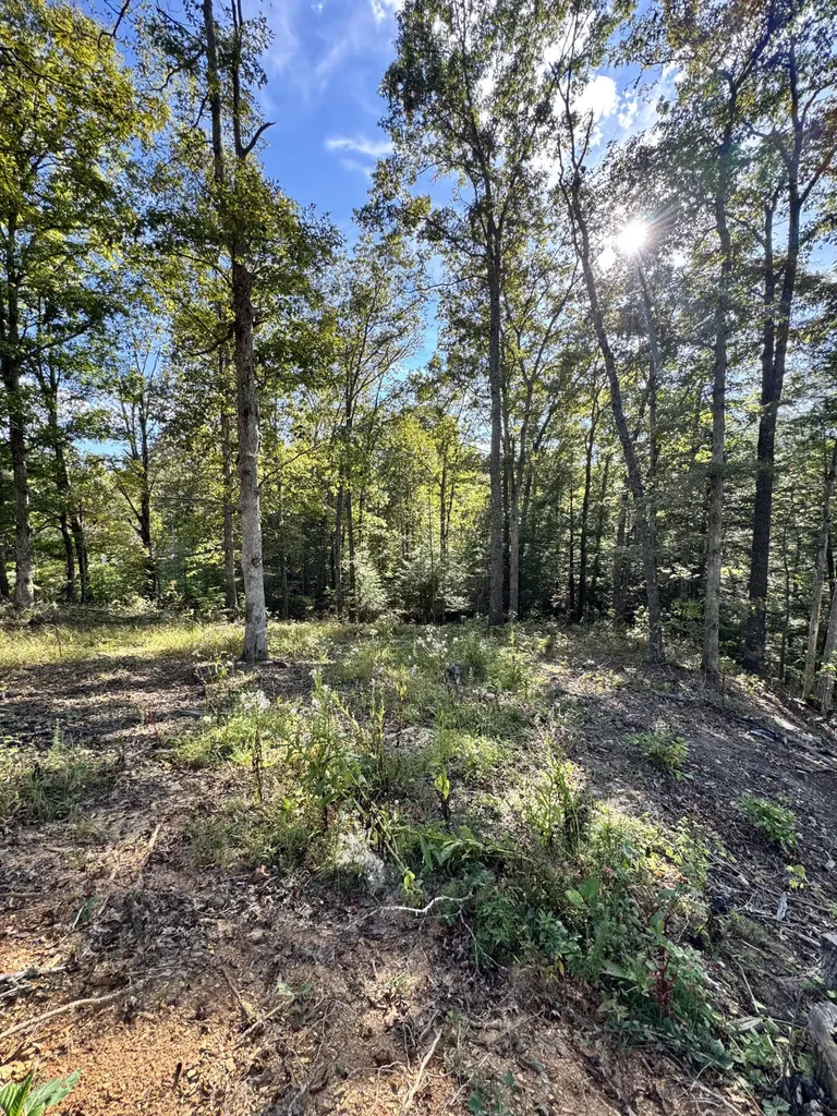 1 Mooretown Hill Road Beattyville KY 41311