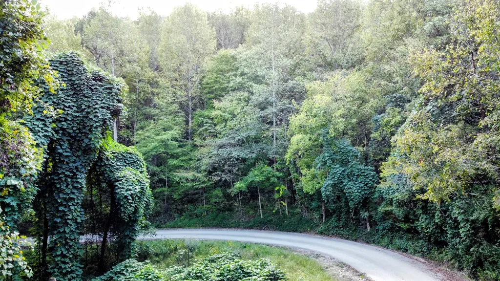 309 Smokey Joe Drive Barbourville KY 40906