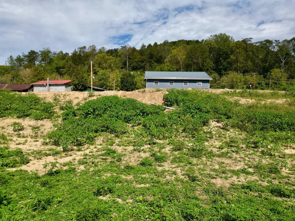 233 River Road Beattyville KY 41311