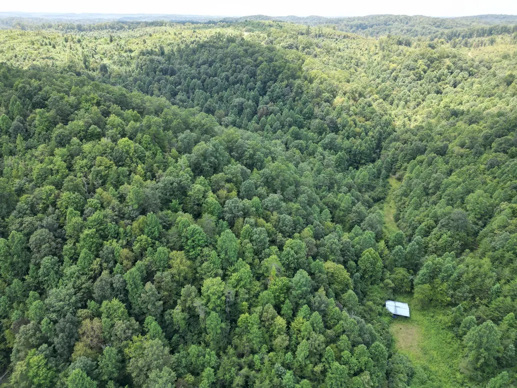 9999 Ohler Branch East Bernstadt KY 40729