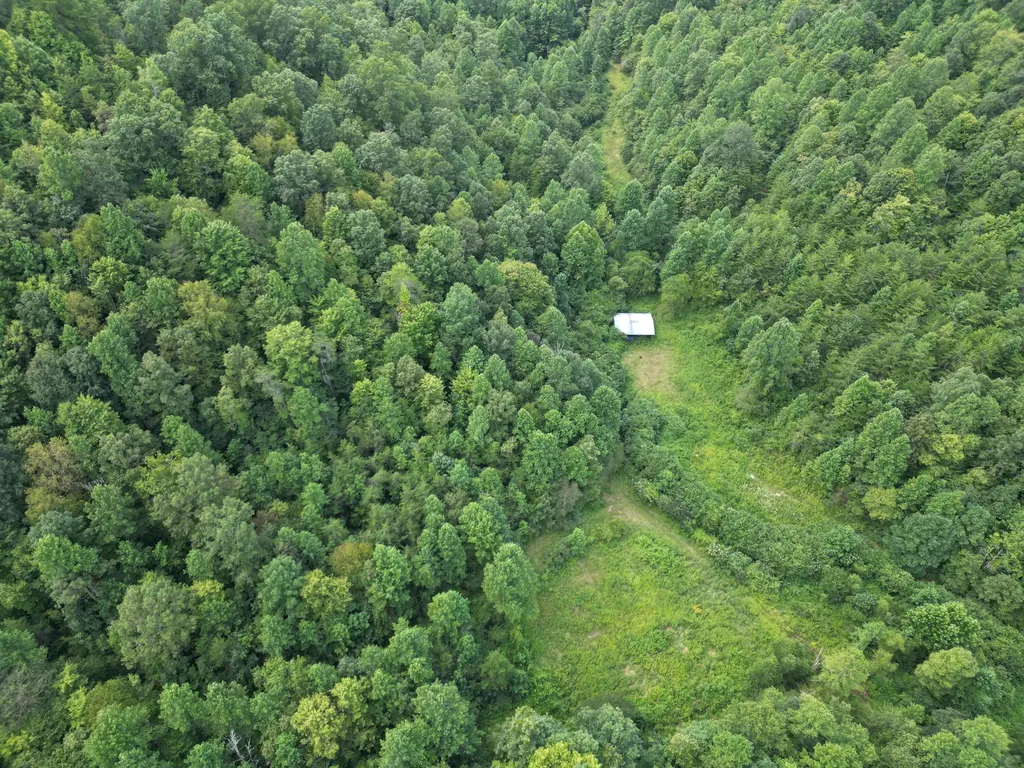 9999 Ohler Branch East Bernstadt KY 40729