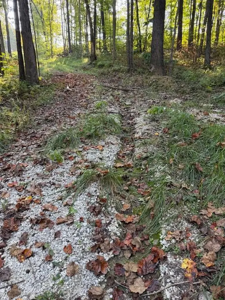Tract 2 Dunaway Road Beattyville KY 41311