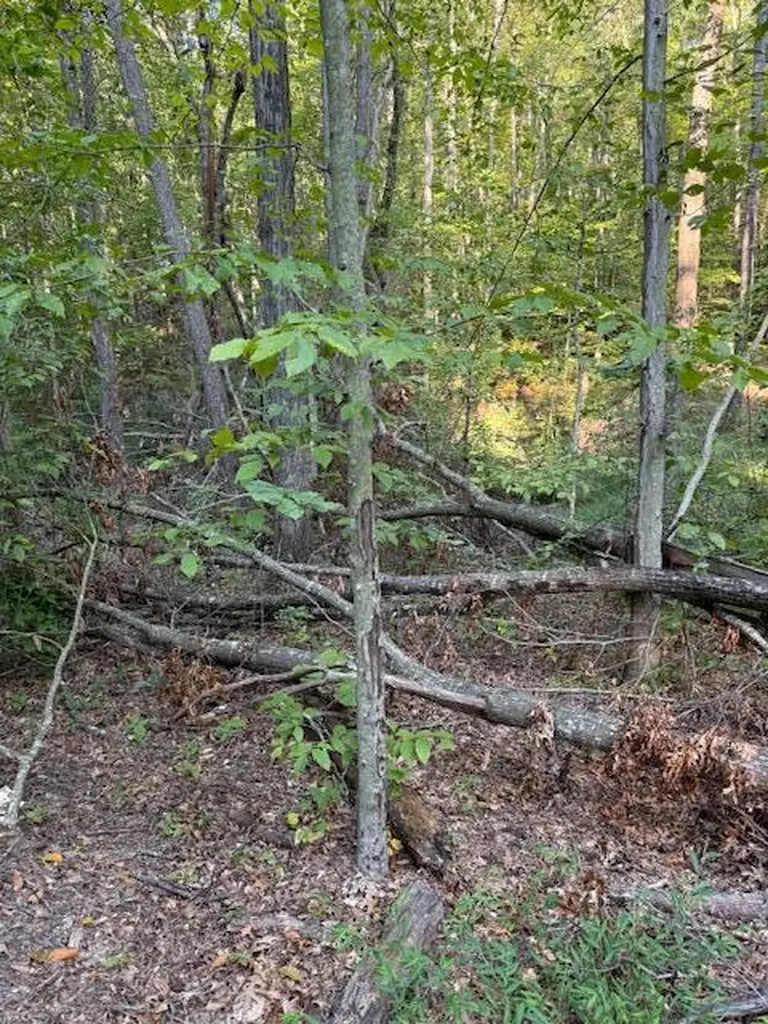Tract 2 Dunaway Road Beattyville KY 41311