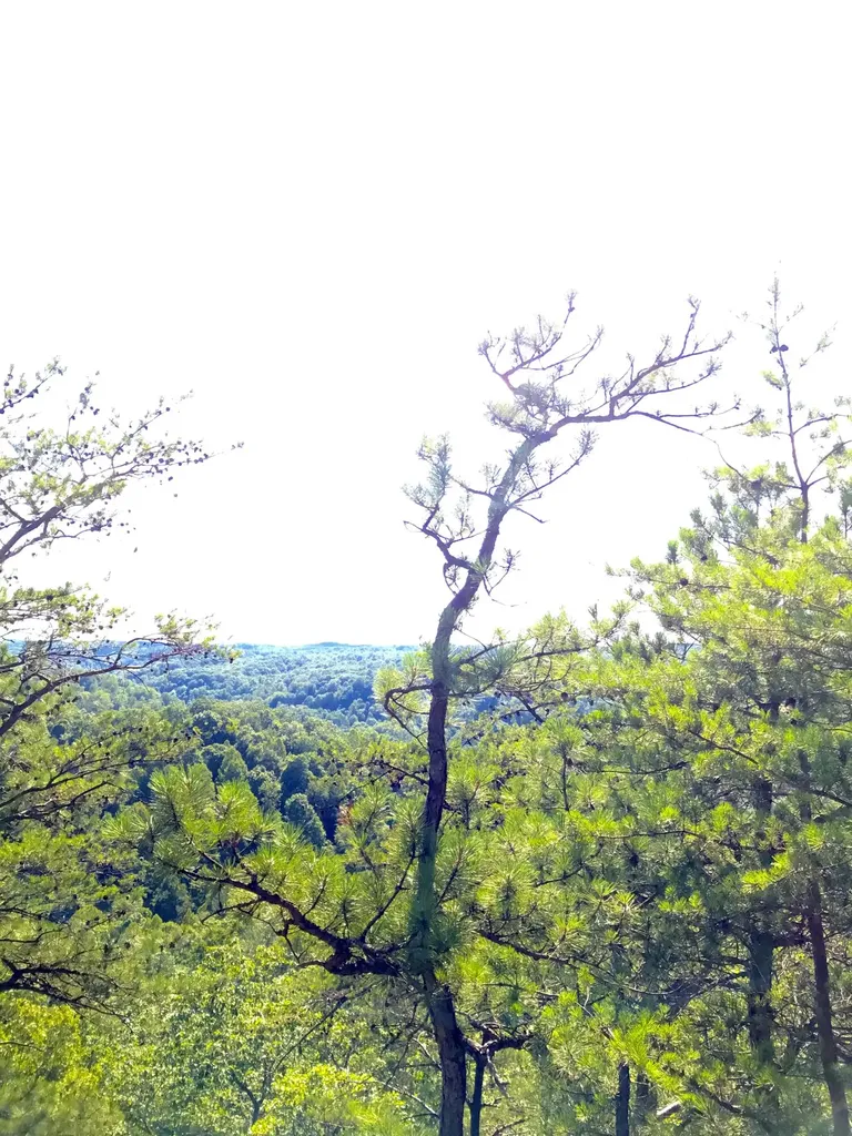 0 South Fork Stanton KY 40380