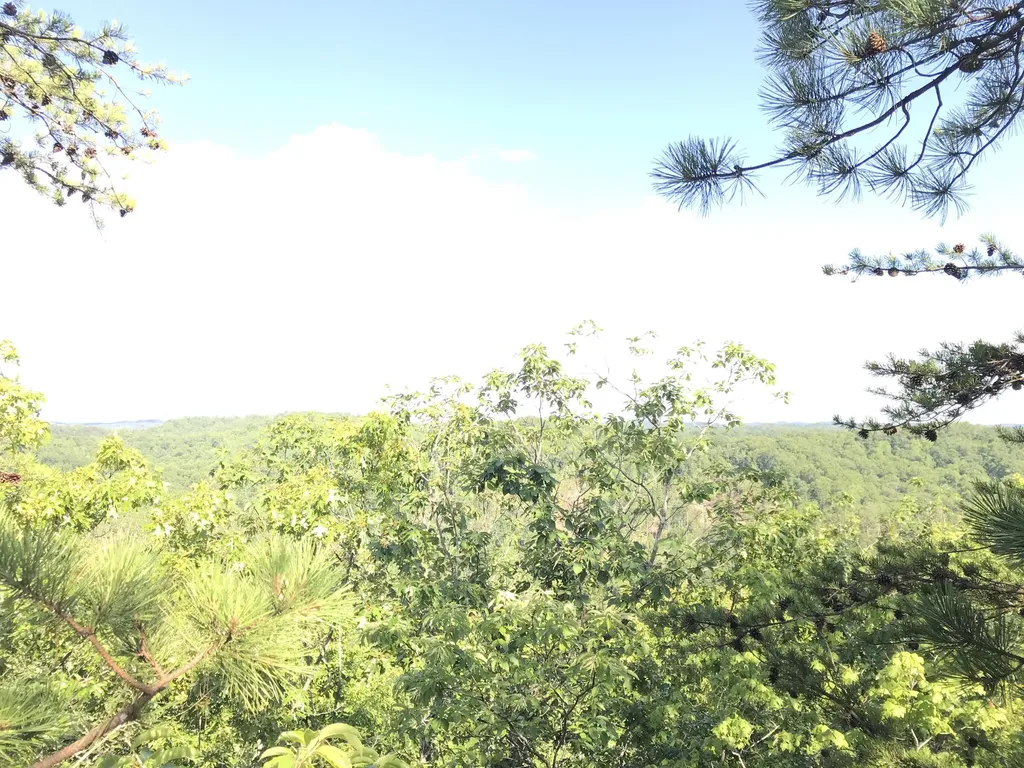 0 South Fork Stanton KY 40380