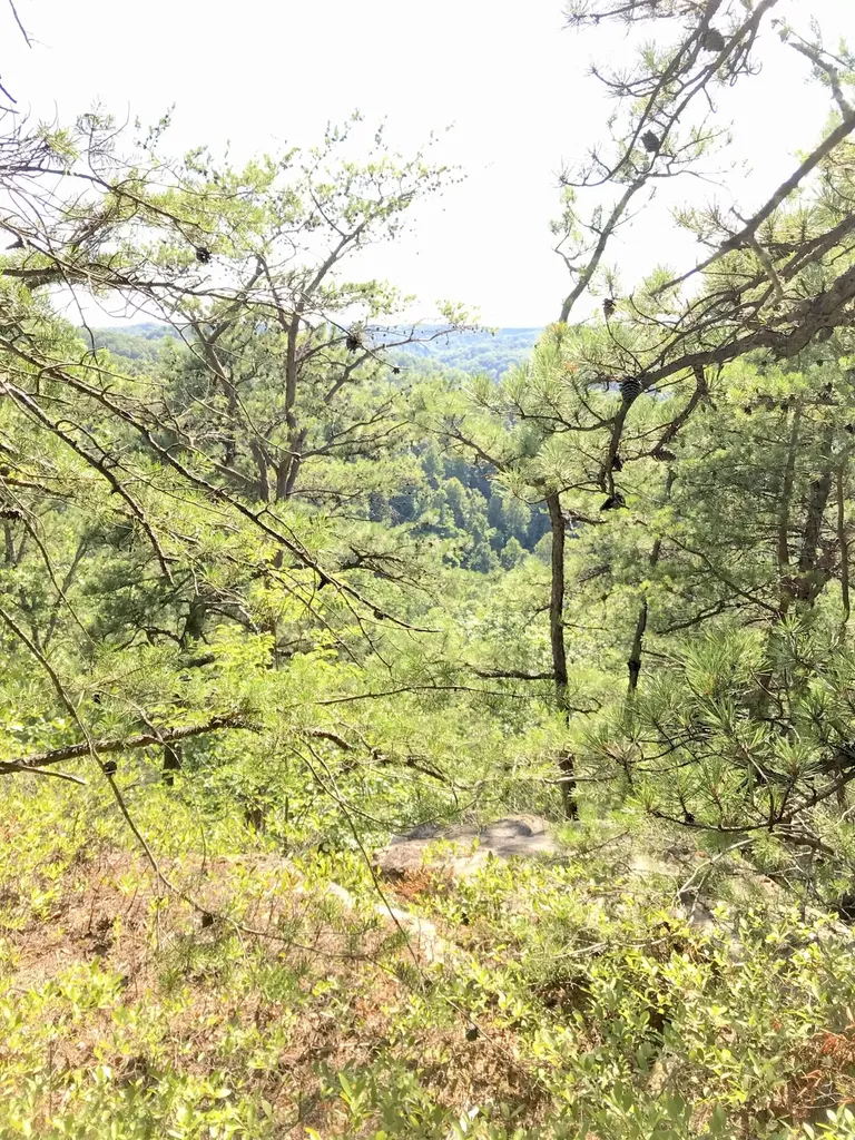 0 South Fork Stanton KY 40380