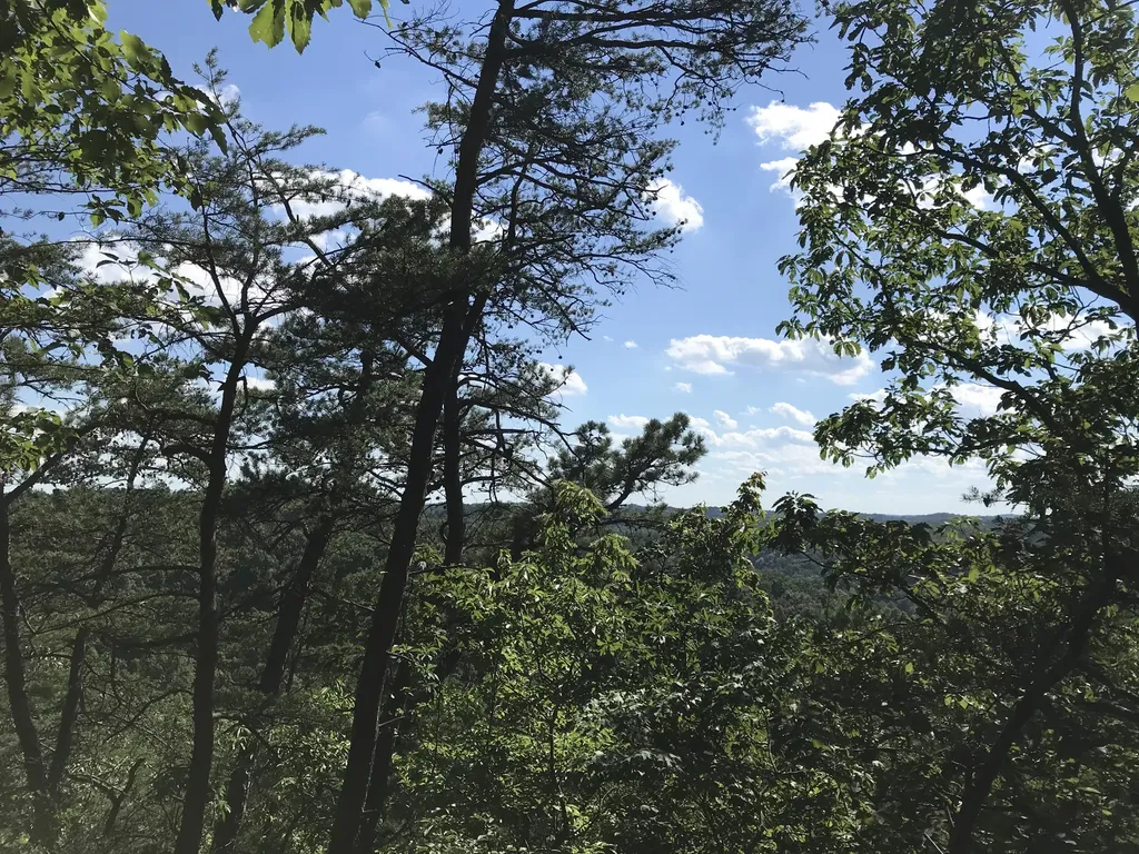 0 South Fork Stanton KY 40380