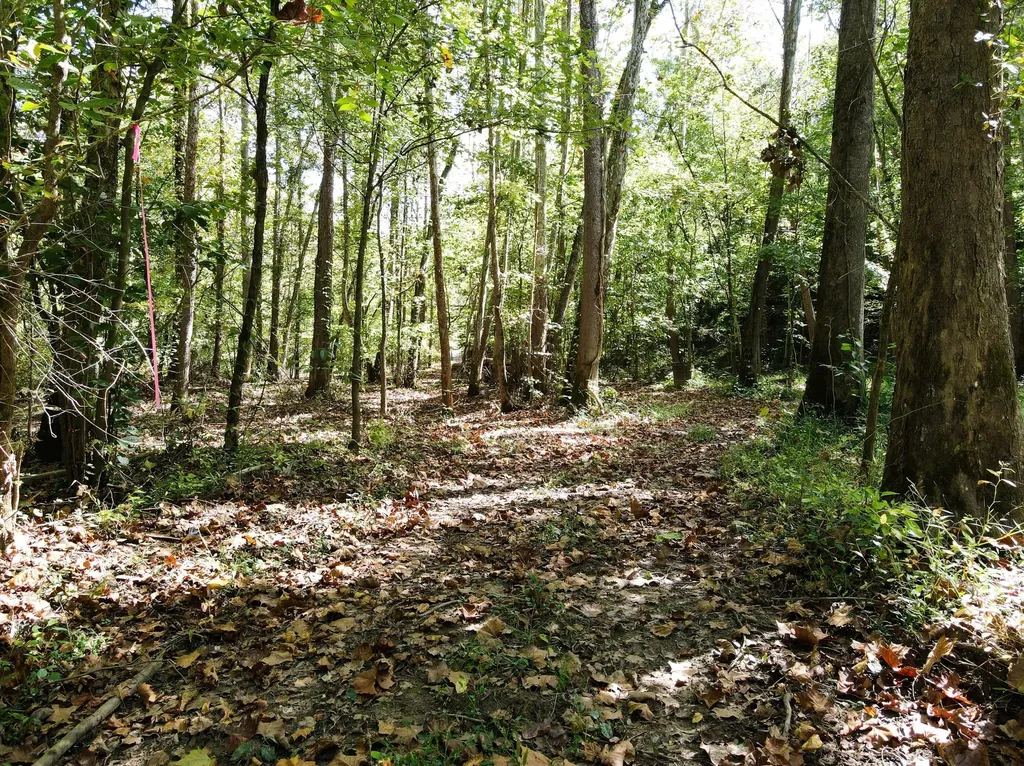124 L Gabbard Road East Bernstadt KY 40729