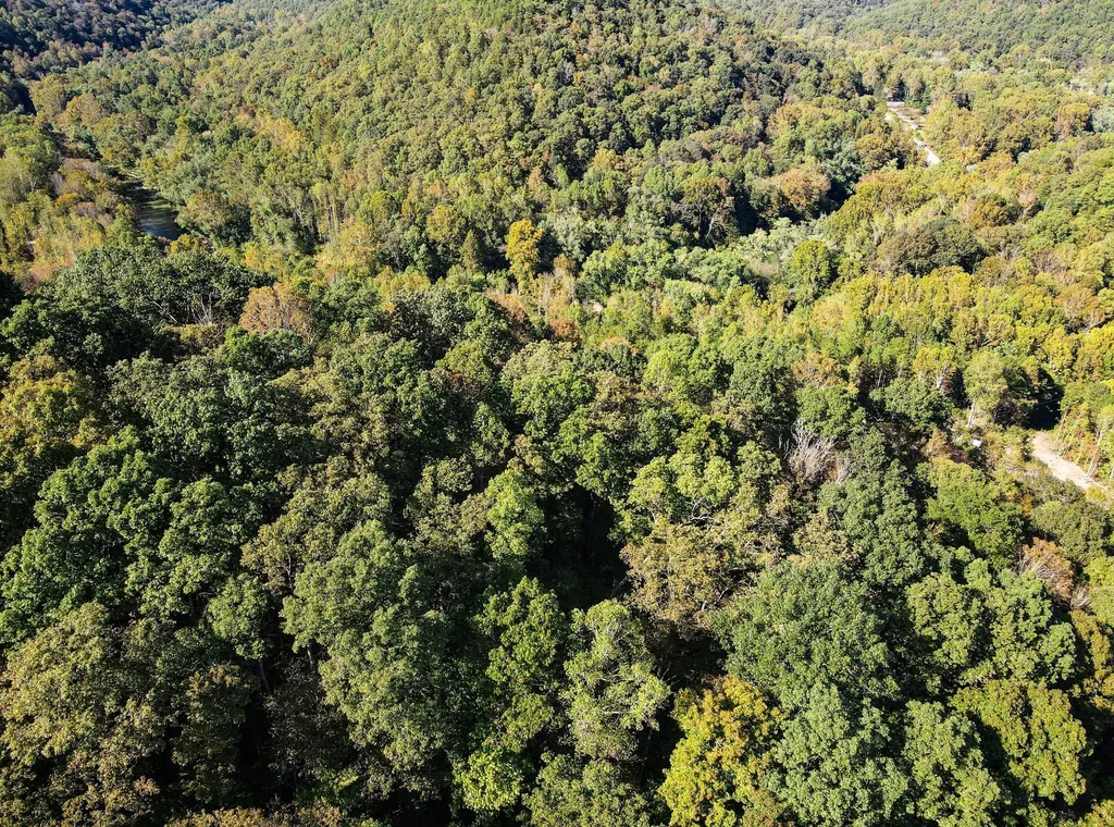 124 L Gabbard Road East Bernstadt KY 40729