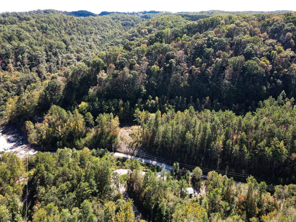 124 L Gabbard Road East Bernstadt KY 40729