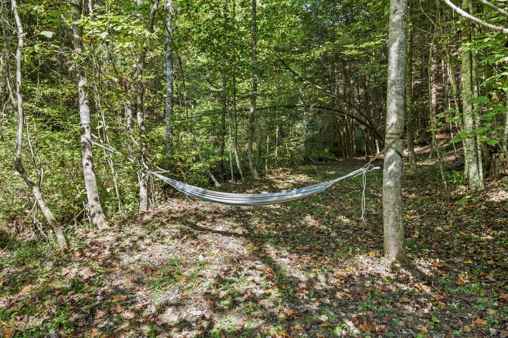 18 High Falls Creek Drive Campton KY 41301