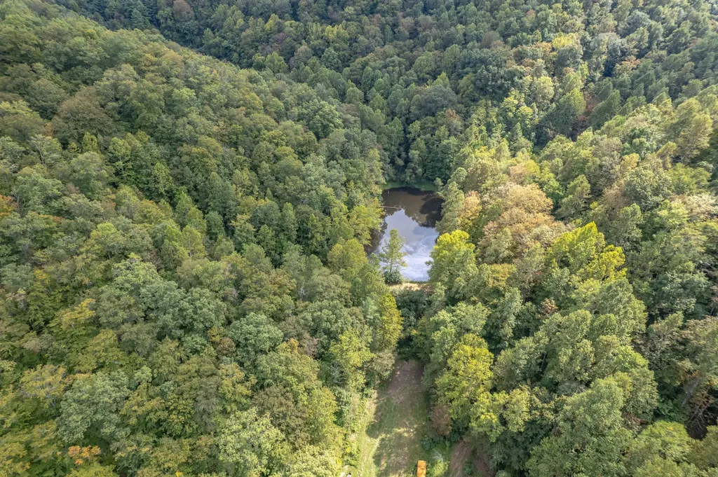 363 Higgins Branch Road Royalton KY 41464