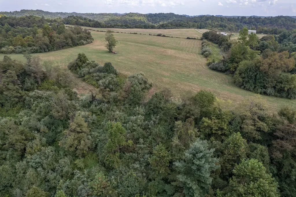 363 Higgins Branch Road Royalton KY 41464