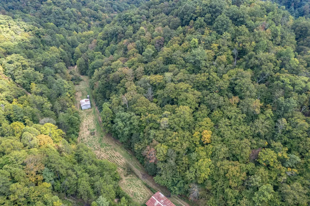 363 Higgins Branch Road Royalton KY 41464