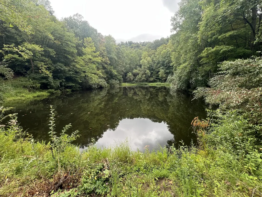 363 Higgins Branch Road Royalton KY 41464
