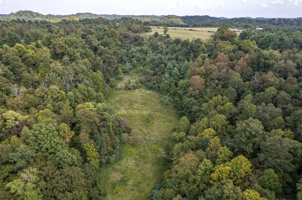 363 Higgins Branch Road Royalton KY 41464