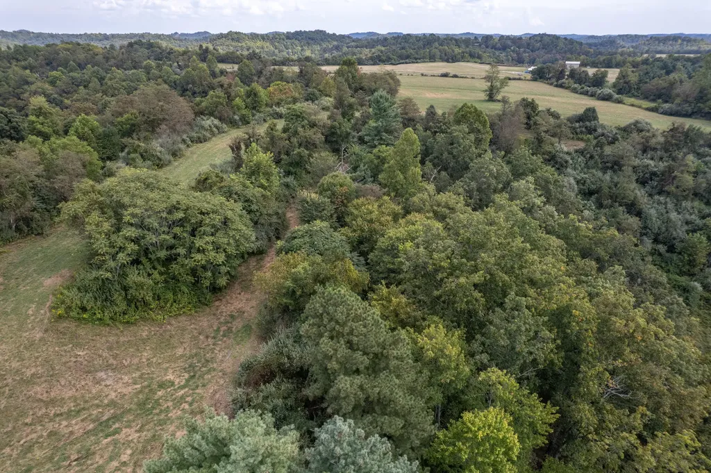 363 Higgins Branch Road Royalton KY 41464