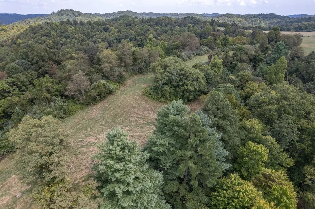 363 Higgins Branch Road Royalton KY 41464