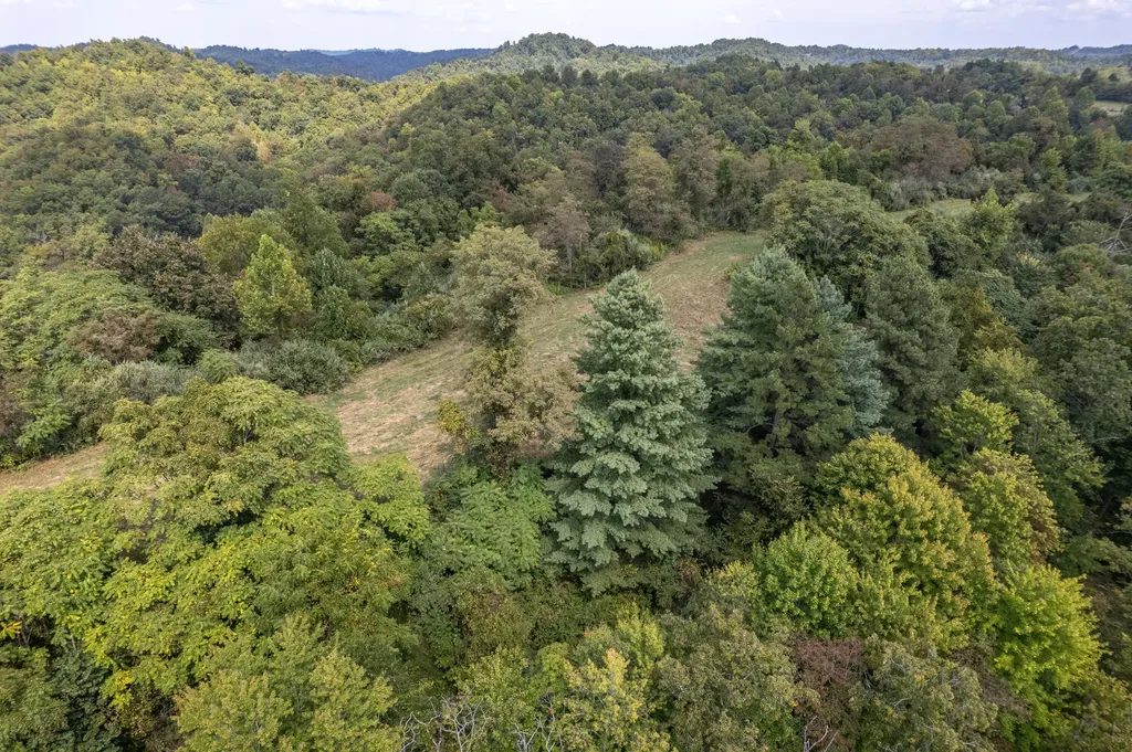 363 Higgins Branch Road Royalton KY 41464