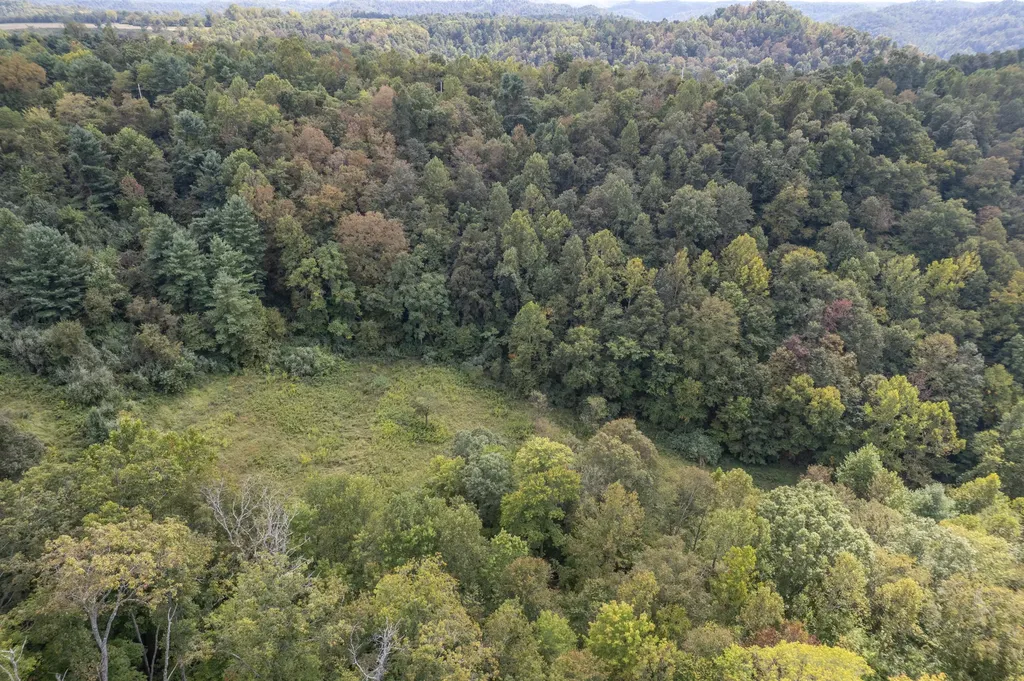 363 Higgins Branch Road Royalton KY 41464