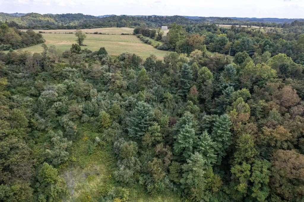 363 Higgins Branch Road Royalton KY 41464