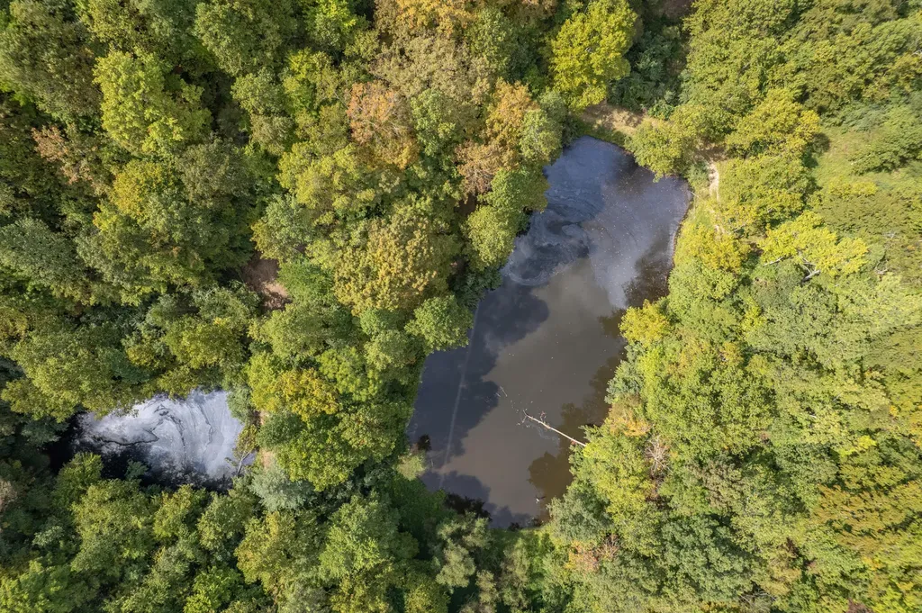 363 Higgins Branch Road Royalton KY 41464
