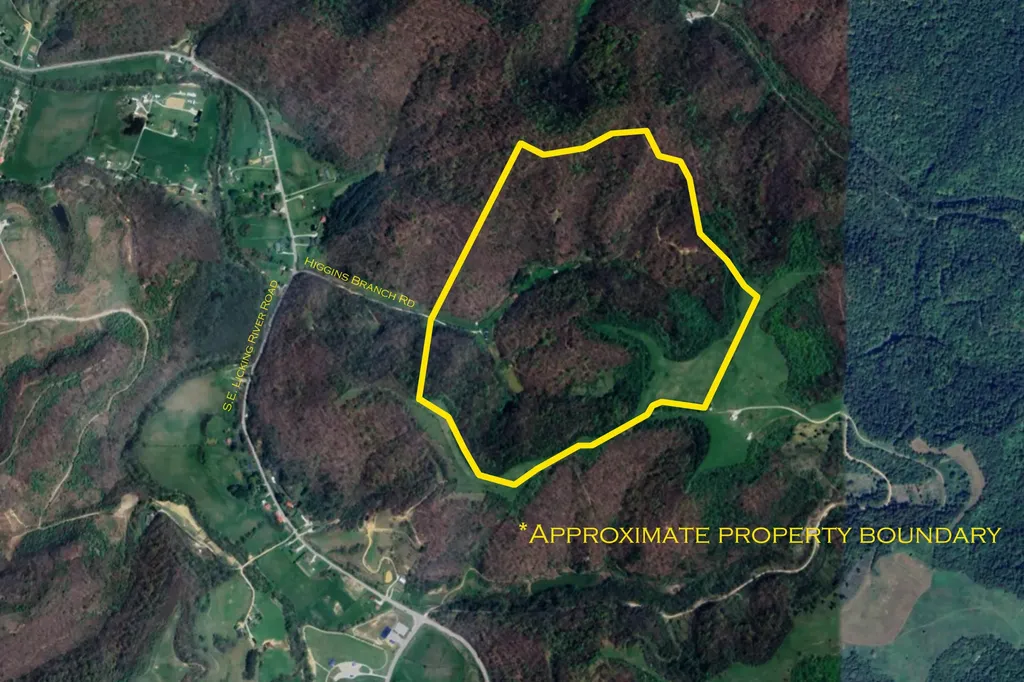 363 Higgins Branch Road Royalton KY 41464
