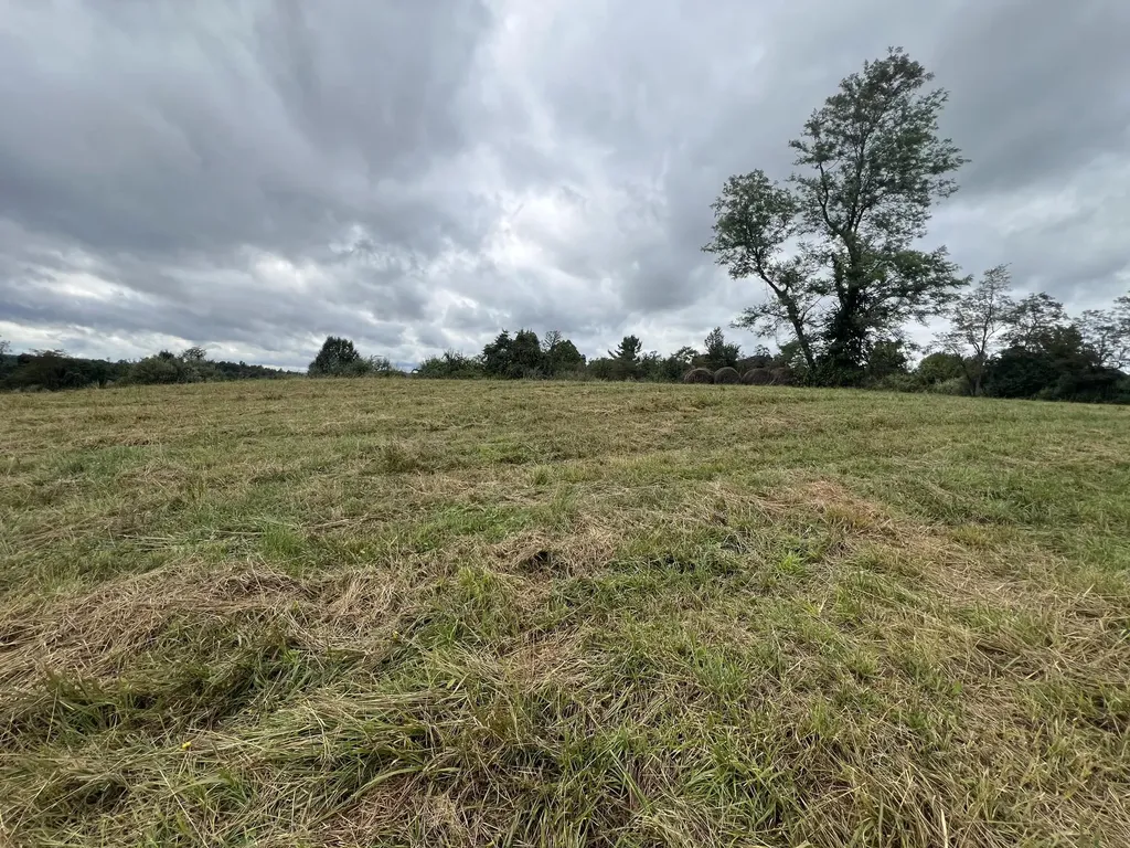 363 Higgins Branch Road Royalton KY 41464