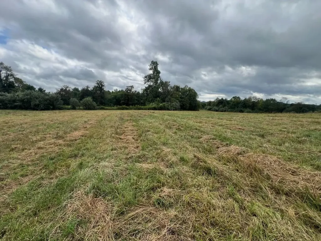 363 Higgins Branch Road Royalton KY 41464