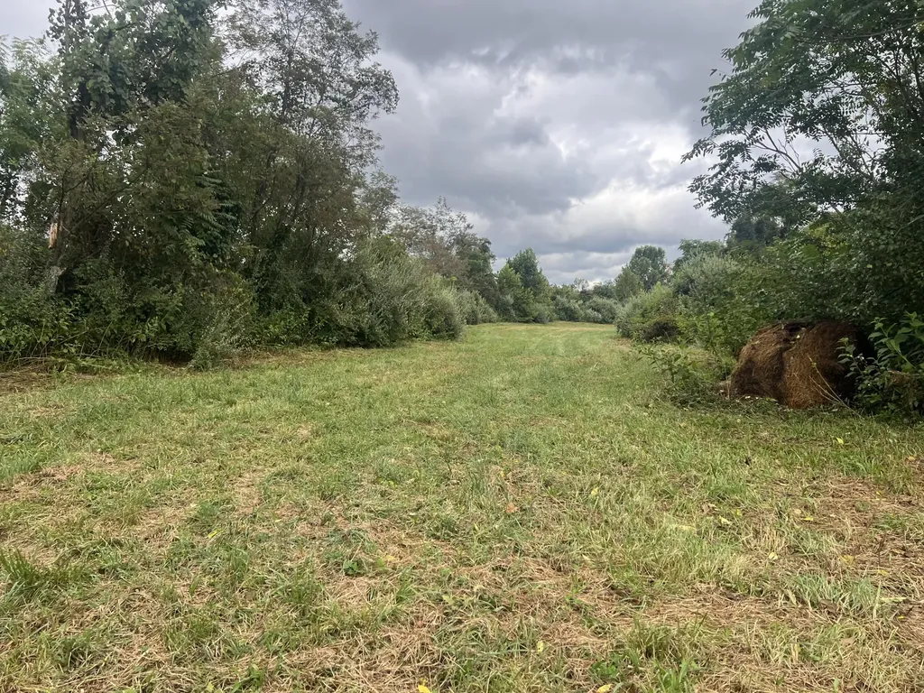 363 Higgins Branch Road Royalton KY 41464