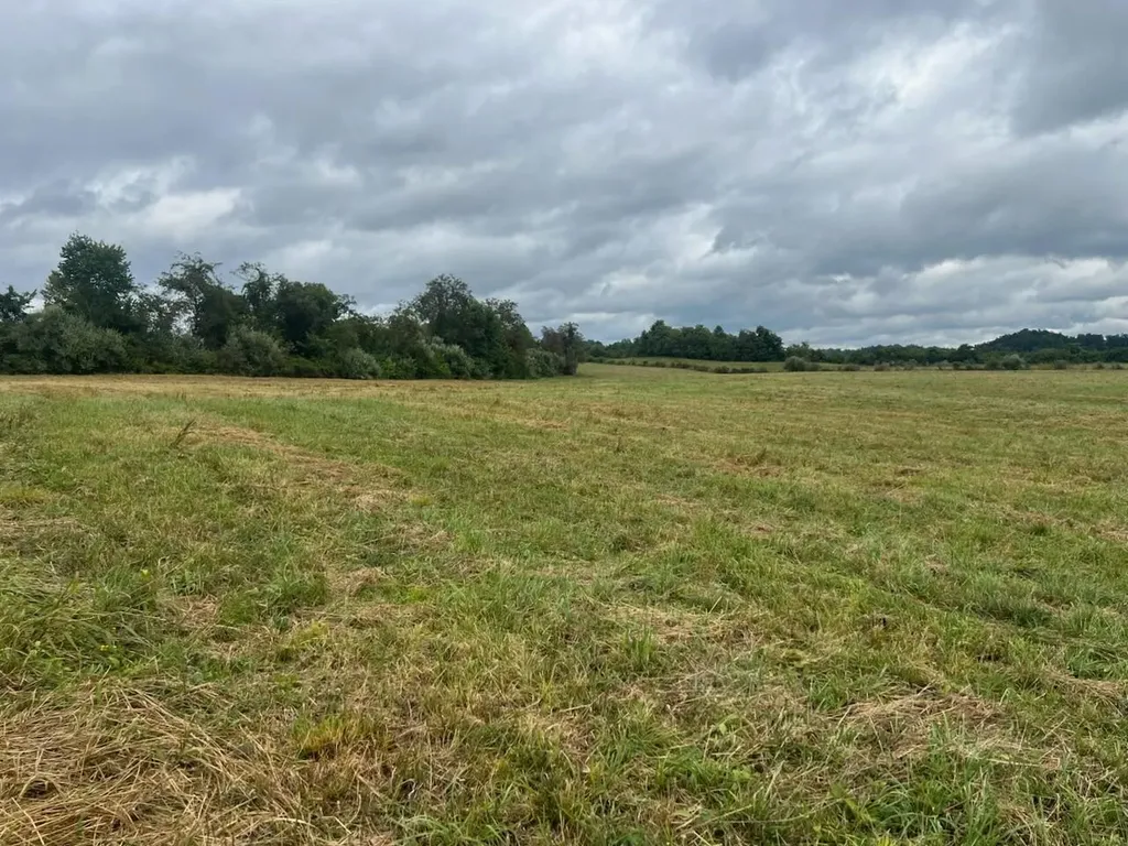 363 Higgins Branch Road Royalton KY 41464