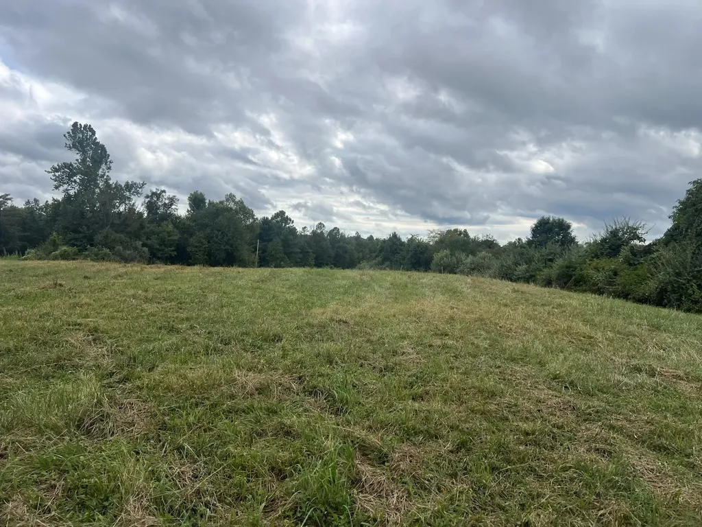 363 Higgins Branch Road Royalton KY 41464