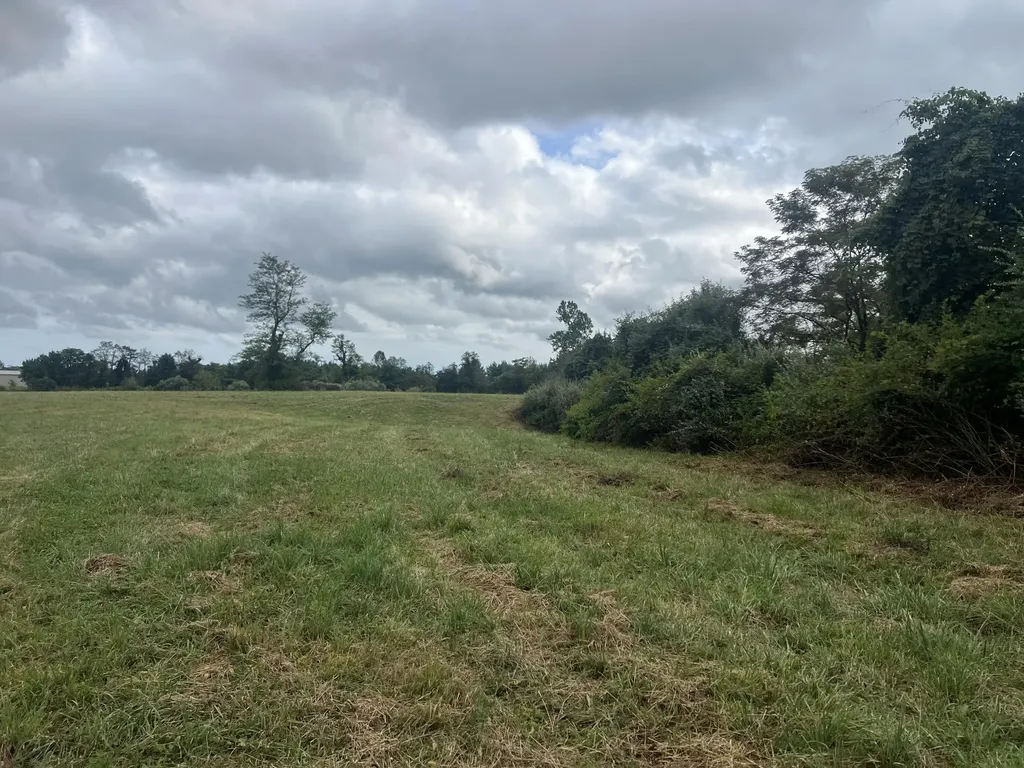 363 Higgins Branch Road Royalton KY 41464