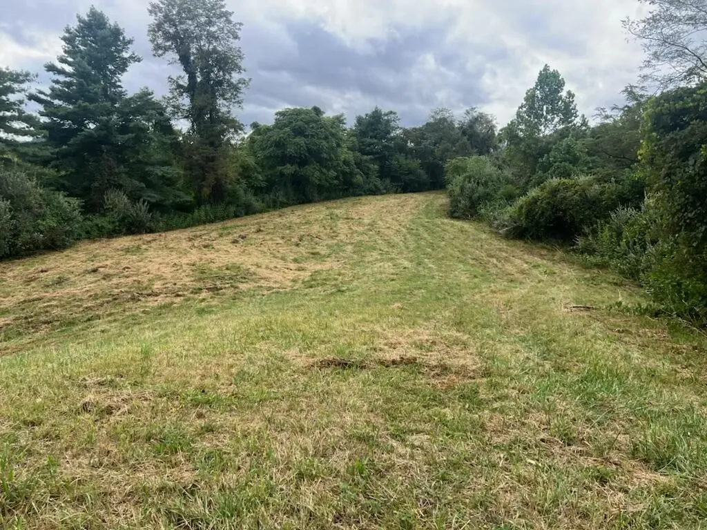 363 Higgins Branch Road Royalton KY 41464