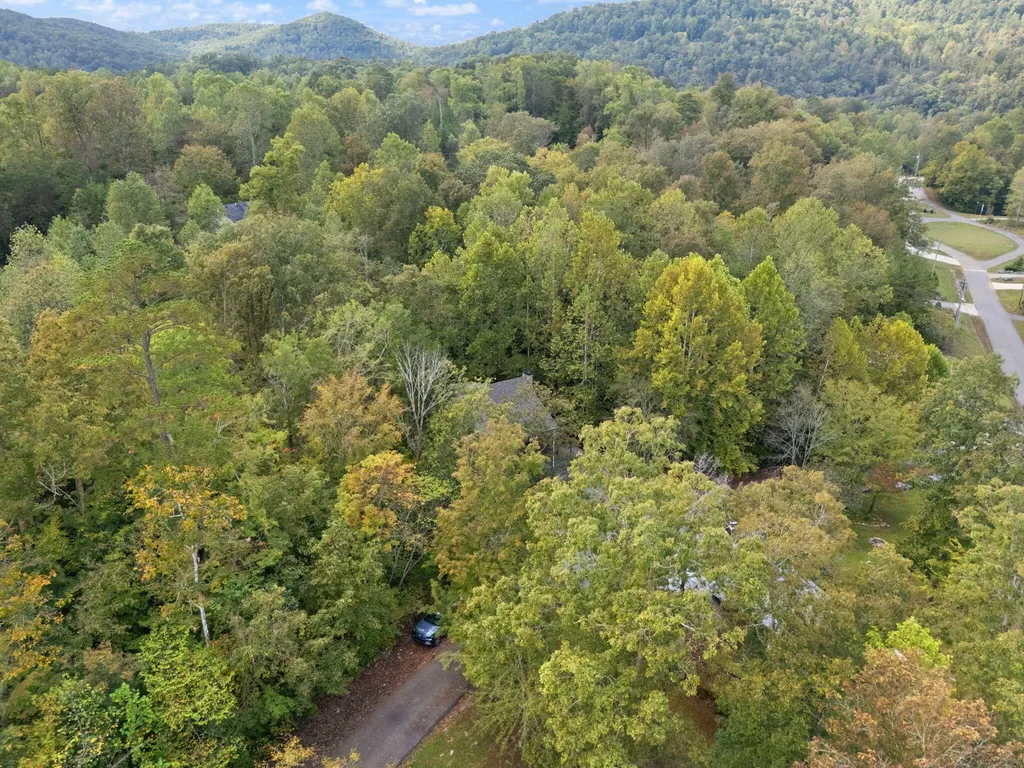 53 Clover Leaf Circle Burnside KY 41519