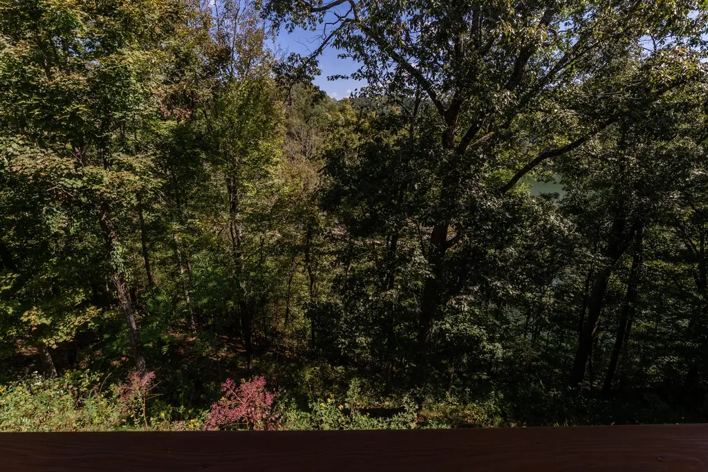 135 Laurel Road Jamestown KY 42629