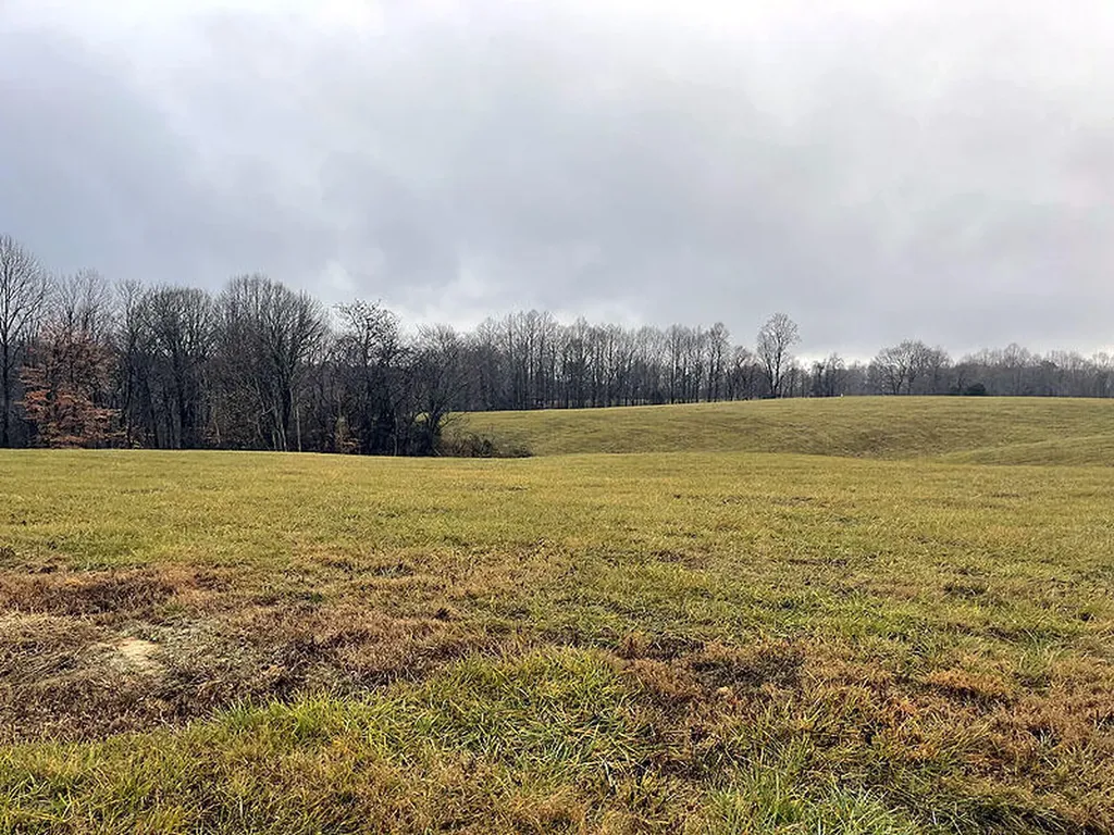 Lot 41 Stillwater Russell Springs KY 42642