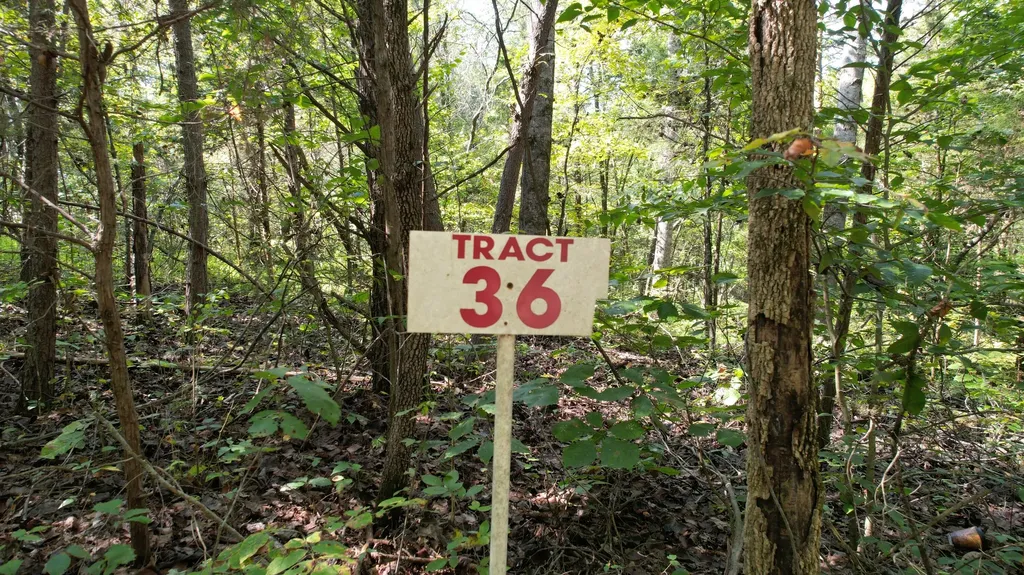 Lot 36 Poplar Ridge Road Cub Run KY 42729