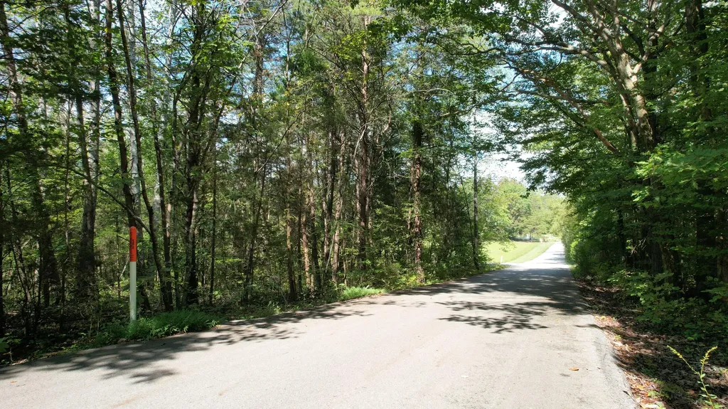 Lot 36 Poplar Ridge Road Cub Run KY 42729