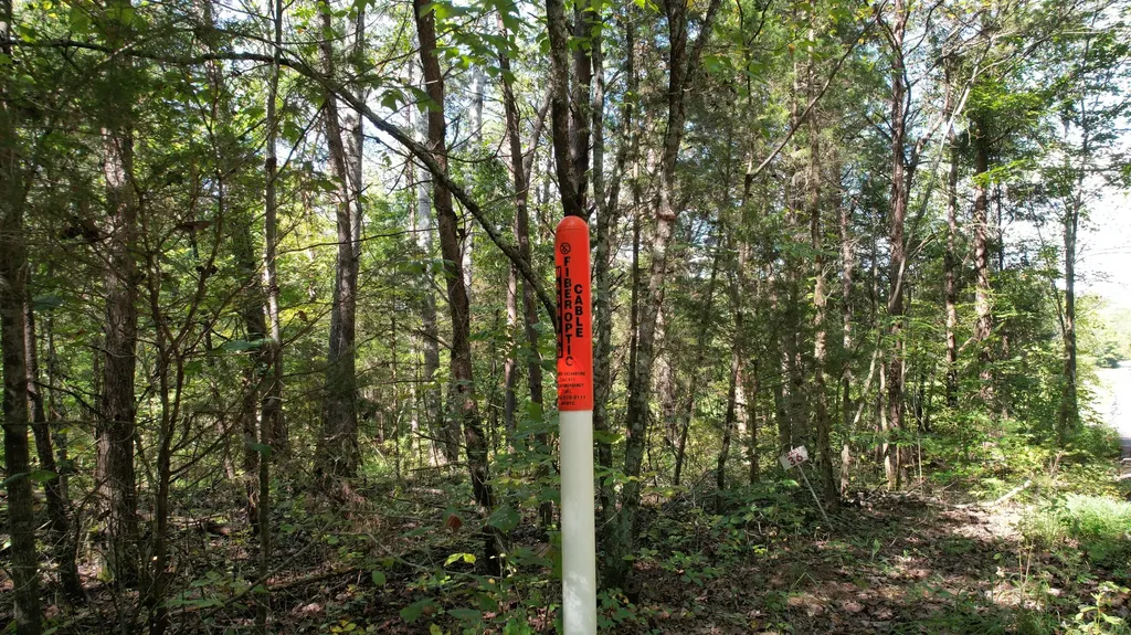 Lot 36 Poplar Ridge Road Cub Run KY 42729