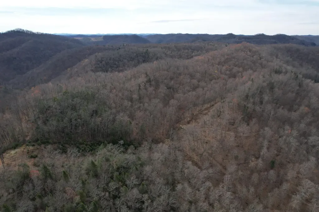 594 Morning Glory Lane Stinnett KY 40868
